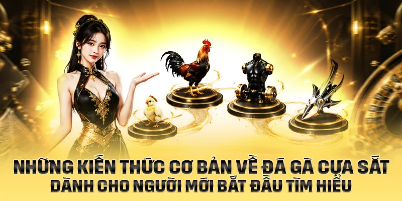 Những kiến thức cơ bản về đá gà cựa sắt dành cho người mới bắt đầu tìm hiểu