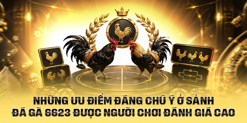 Những ưu điểm đáng chú ý ở sảnh đá gà 6623 hiện nay