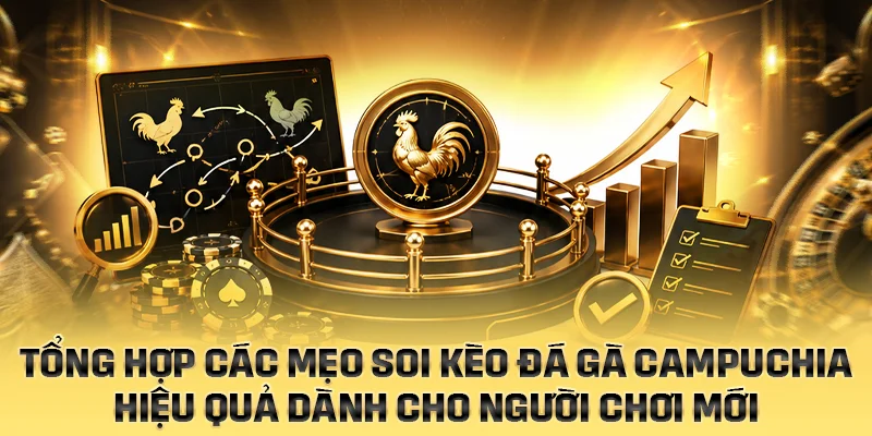 Tổng hợp các mẹo soi kèo đá gà Campuchia hiệu quả dành cho người chơi mới